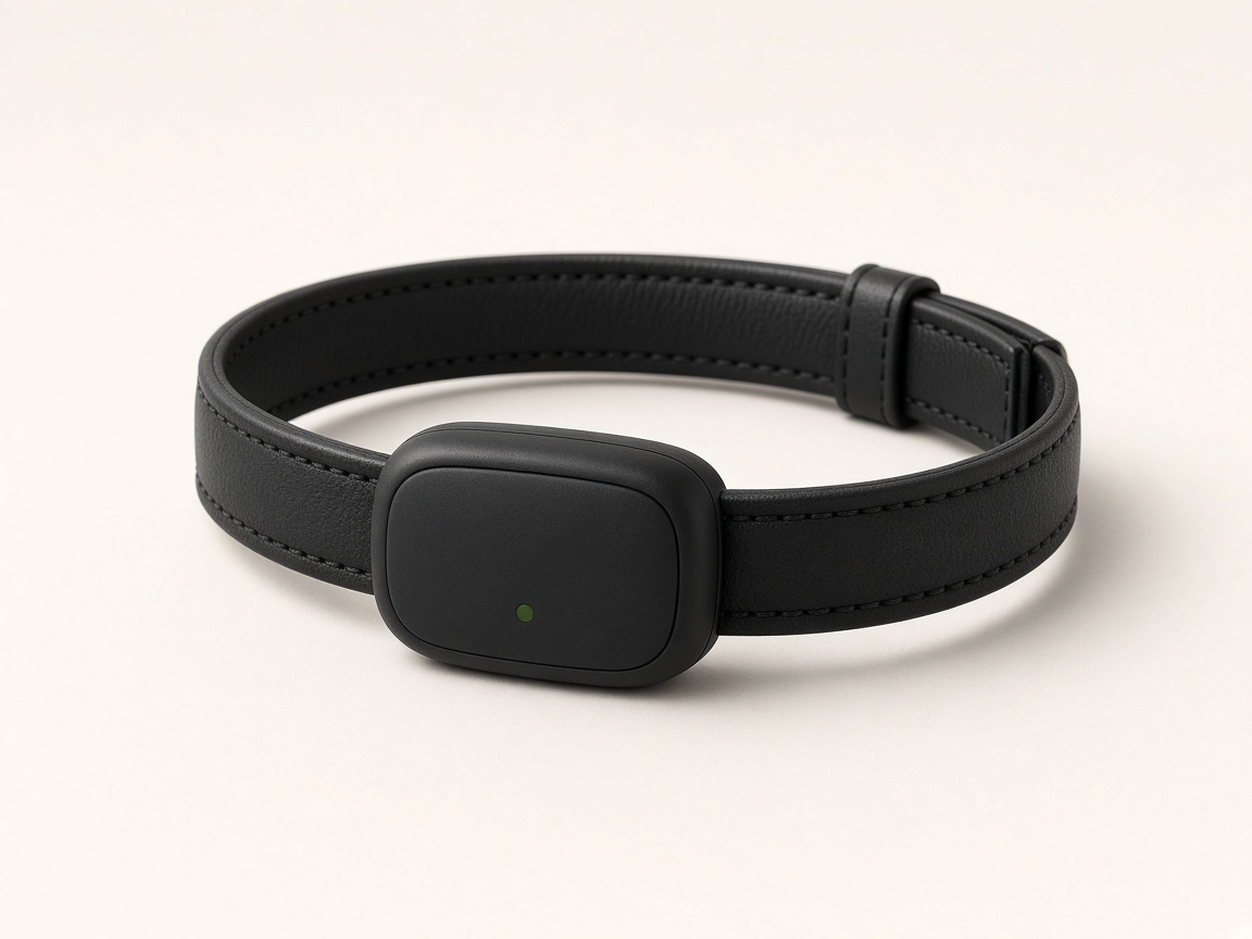 BANDOG smart pet collar